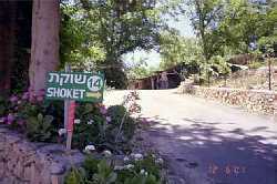 Parking area at Ilana Shoket Bed and Breakfast