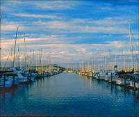 Auckland Harbour