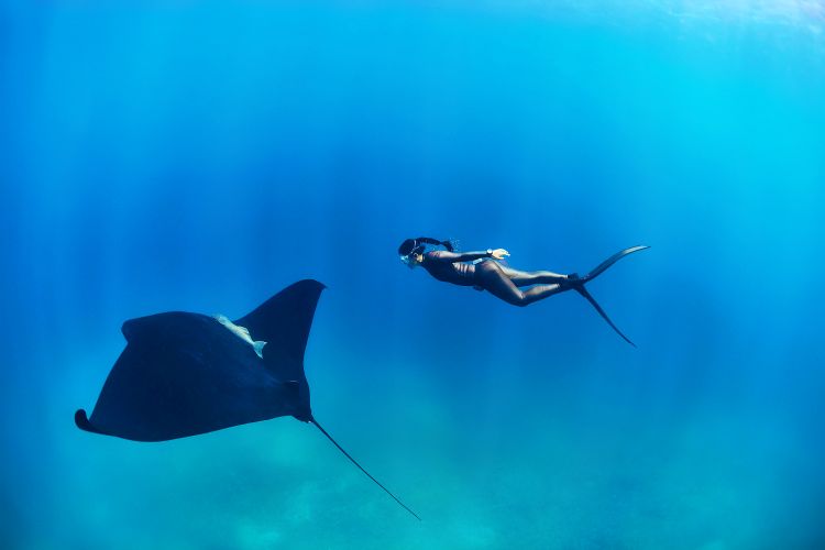 Hanli Prinsloo and manta ray
