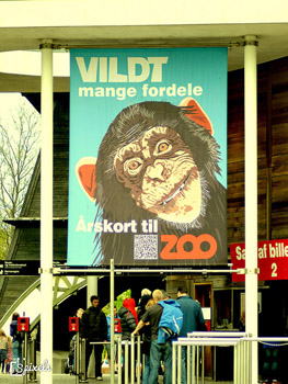 Copenhagen Zoo