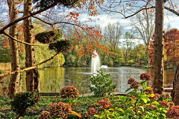 Park in Amsterdam