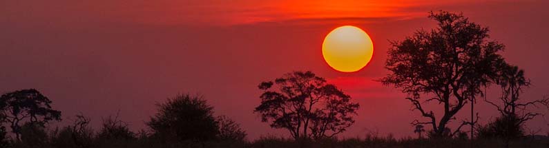 Okavango Delta, Botswana