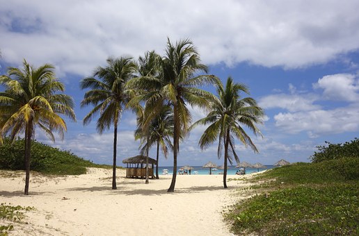 Beach in Brazil