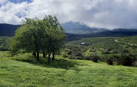 Breede River Valley - Photo by David Gill on Flickr