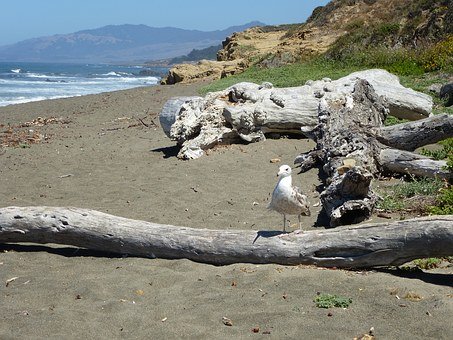 Cambria, California, USA