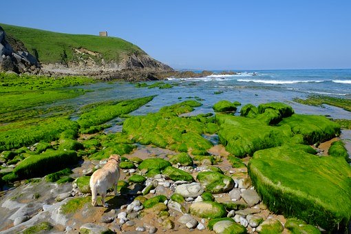 Cantabria