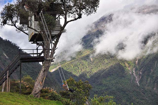 La Casa del Arbol