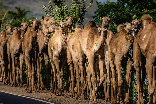 Ethiopia