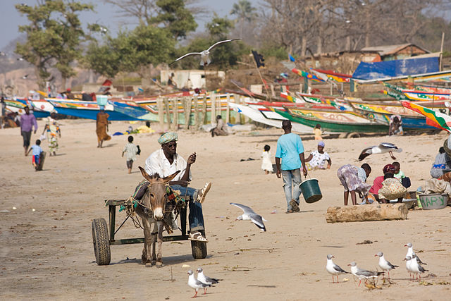 Beach in Gambia by Ikiwaner on Wikimedia Commons