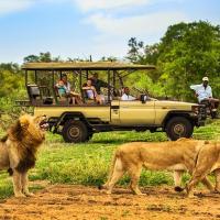 Honeyguide Tented Safari Camps