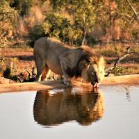 Jamila Game Lodge