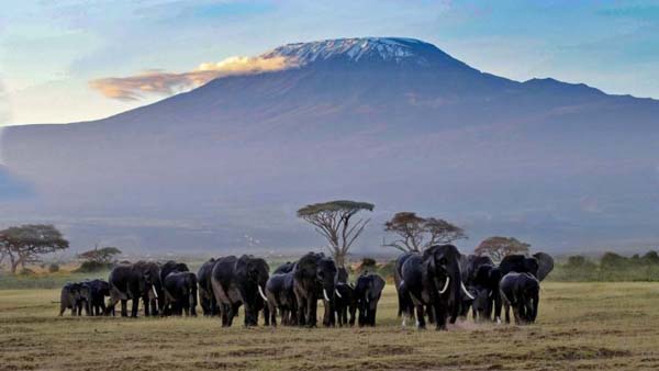 Mt Kilimanjaro, Tanzania