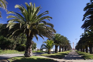 La Serena