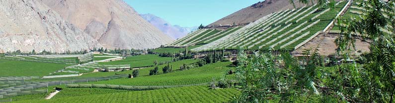 La Serena, Elqui Valley, Chile