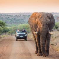 Leopard Mountain Safari Lodge