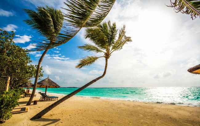 Beach scene in the Maldives