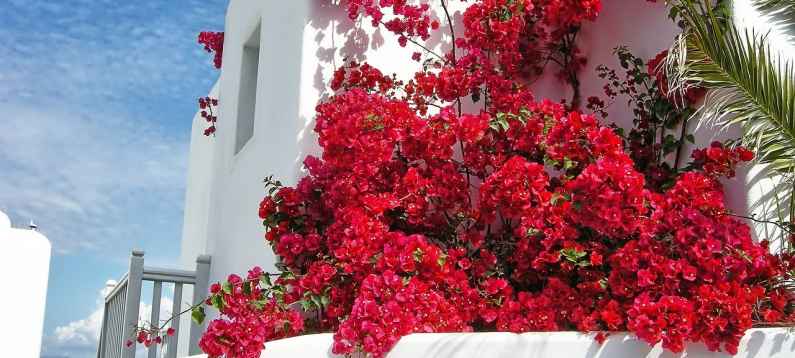 Mykonos, Greece