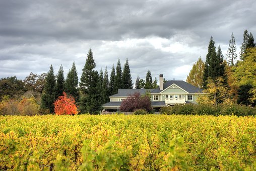 Napa Valley