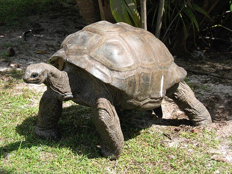 Seychelles