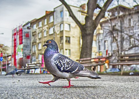 Sofia, Bulgaria