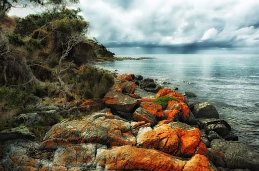 Tasmania