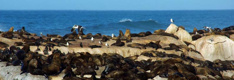 Wild Coast, South Africa