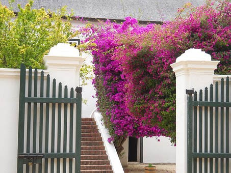 Cape Winelands