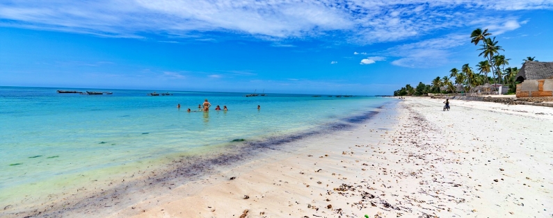 Beach in Zanzibar, Tanzania