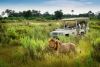 Lion World Trasvel offers solo travelers a chance to visit Africa with no single supplements
