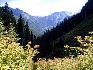 View at Mt. Baker Lodging