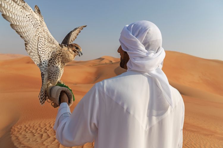 Qasr Al Sarab Desert Resort by Anantara, Abu Dhabi