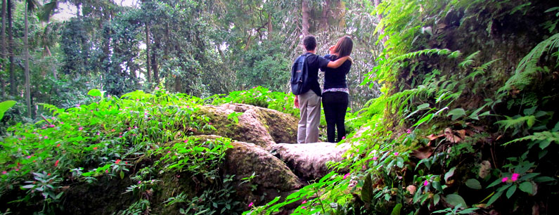 Parque Lage walking trails, Rio de Janeiro