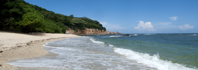 Coral cove, Sri Lanka