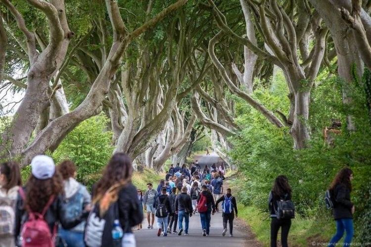 The Dark Hedges - Game of Thrones setjetting