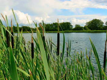 The Cotswold Water Park