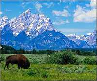 Grand Tetons